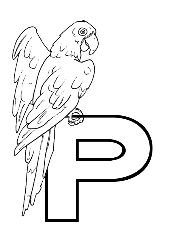 La lettera P di pappagallo da colorare