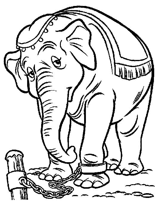 La mamma di Dumbo triste disegni da colorare gratis