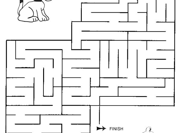 Labirinto aiuta il cane a ritrovare il suo osso