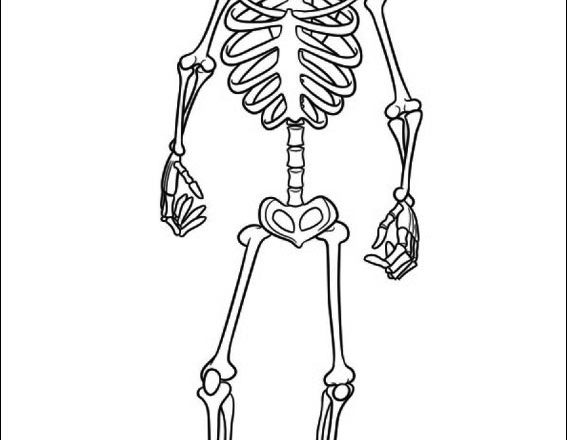 Lo scheletro disegni da colorare gratis