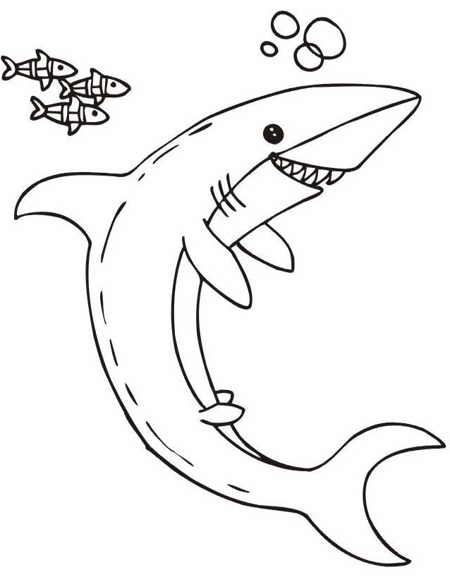 Lo squalo e i pesci disegni da colorare