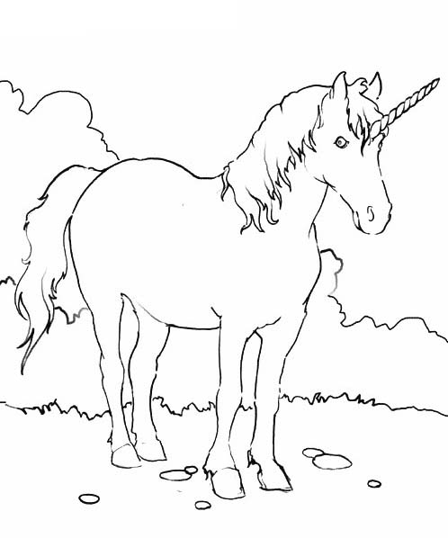 Magico unicorno disegno da stampare e colorare per bambini e bambine