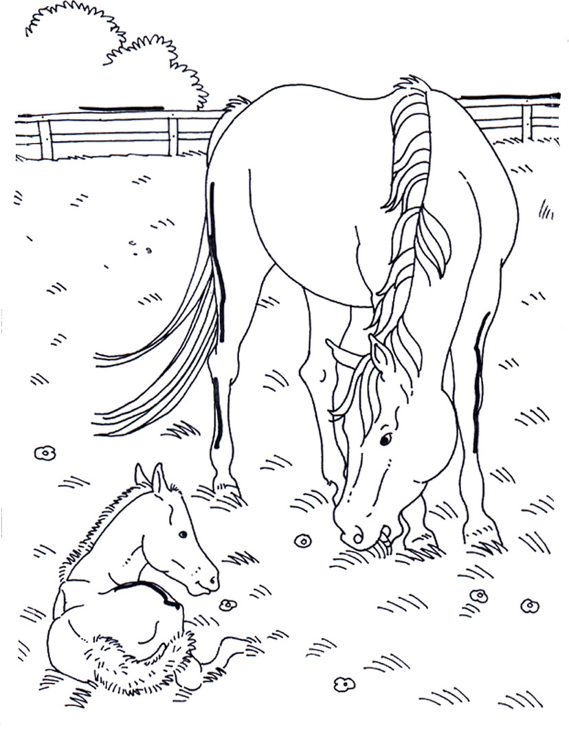 Mamma cavallo e suo figlio disegno da colorare per bambino e bambina