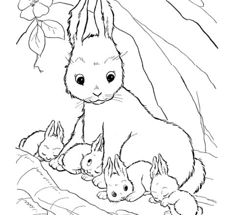 Mamma coniglietta e i suoi cuccioli disegni per bambini
