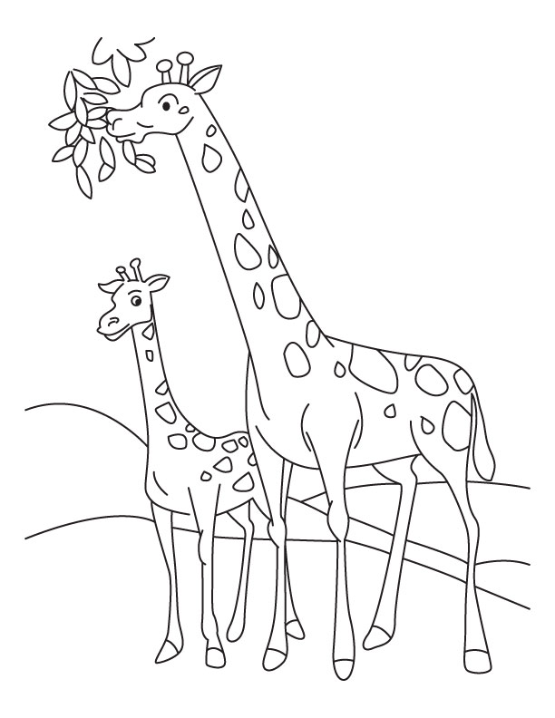 Mamma e figlia giraffe da colorare per i bambini