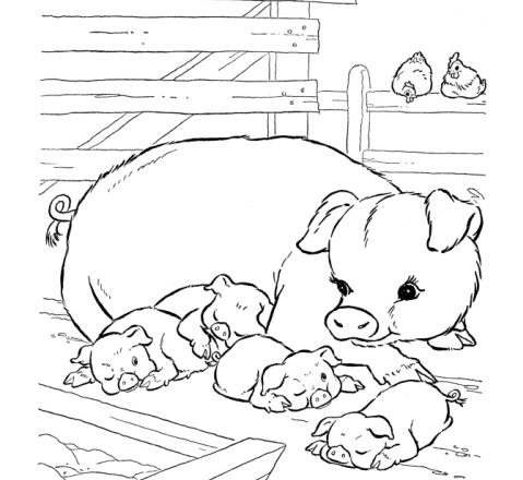 Mamma maiale con i piccoli disegno da colorare