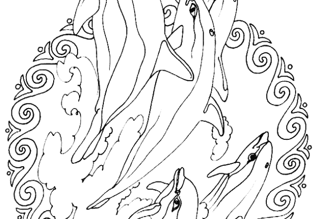 Mandala disegno da colorare gratis 123 per bambini con animali delfini