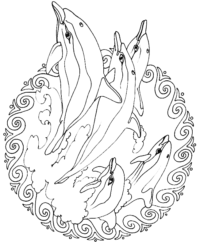 Mandala disegno da colorare gratis 123 per bambini con animali delfini