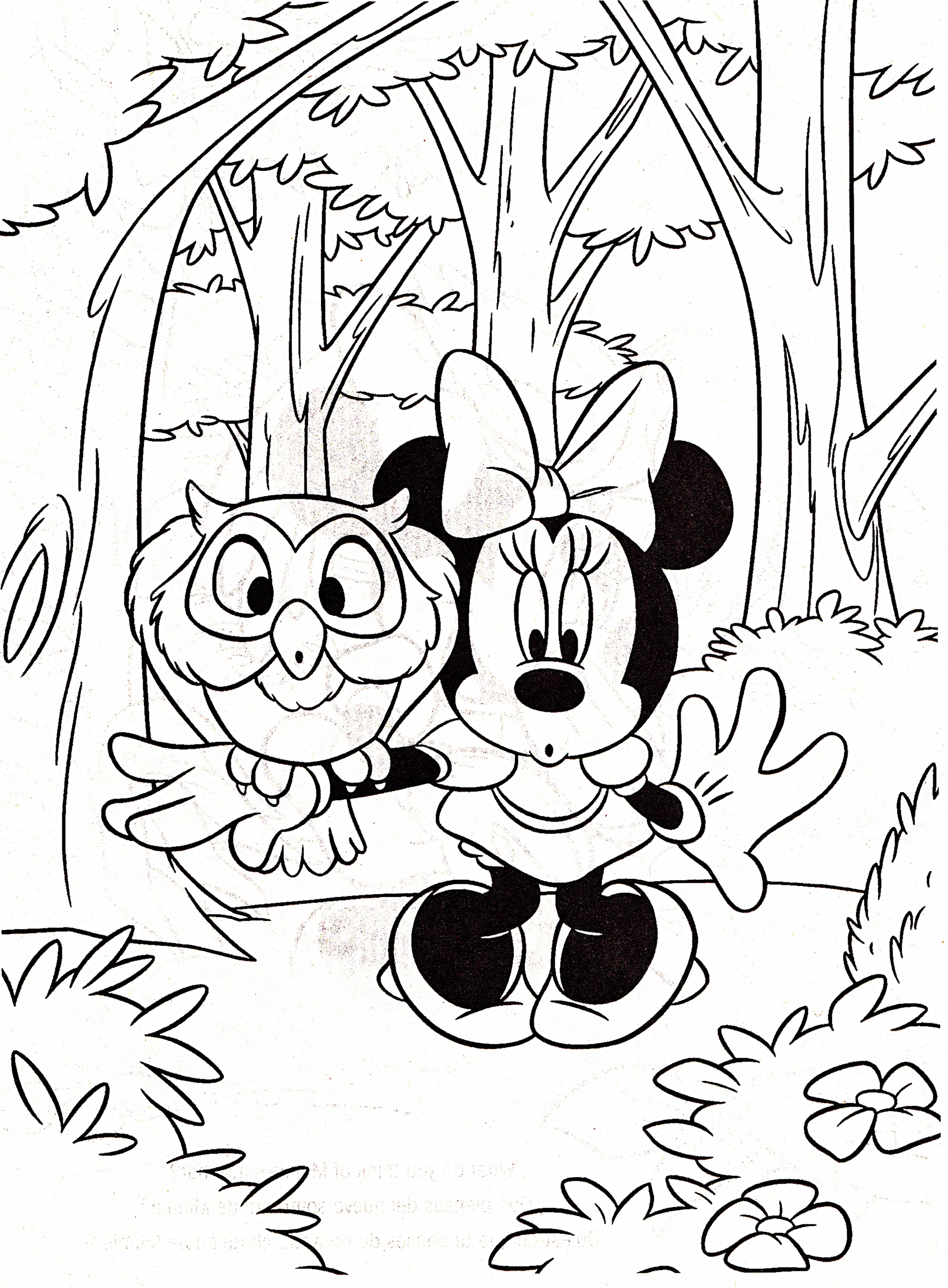 Minnie e il gufo disegno da colorare