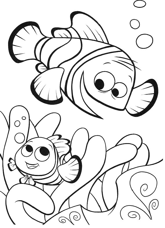 Nemo Marlin e l’ Anemone disegni da colorare gratis