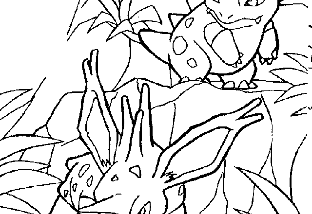 Nidoran e Nidorino disegni da colorare dei Pokemon