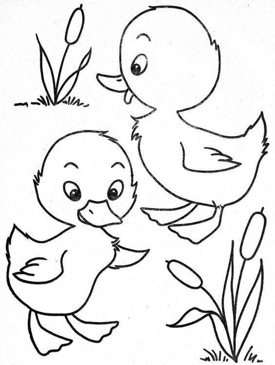 Papere paperelle disegni da colorare gratis animali (17)