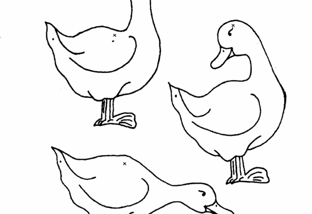 Papere paperelle disegni da colorare gratis animali (64)