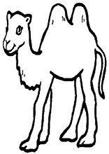 Piccolo cammello disegno da stampare e colorare gratis