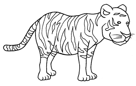 Piccolo di tigre disegni da colorare