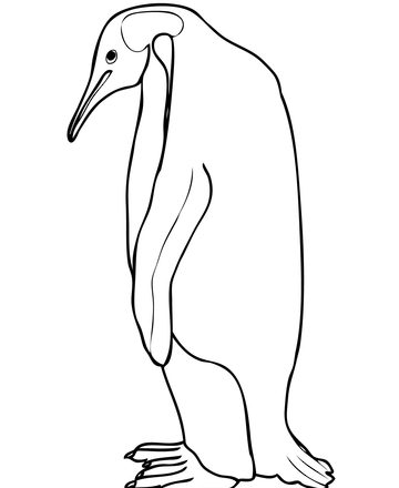 Piccolo disegno di pinguino da colorare e da stampare