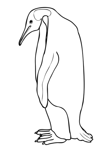 Piccolo disegno di pinguino da colorare e da stampare