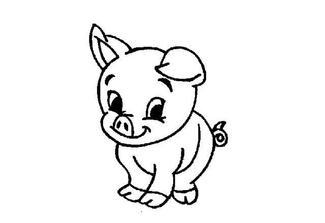Piccolo maialino disegno da colorare