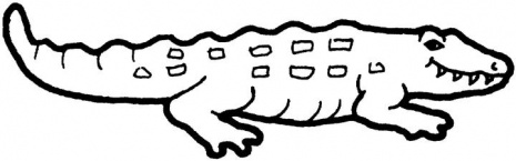 Piccolo semplice coccodrillo disegni da colorare