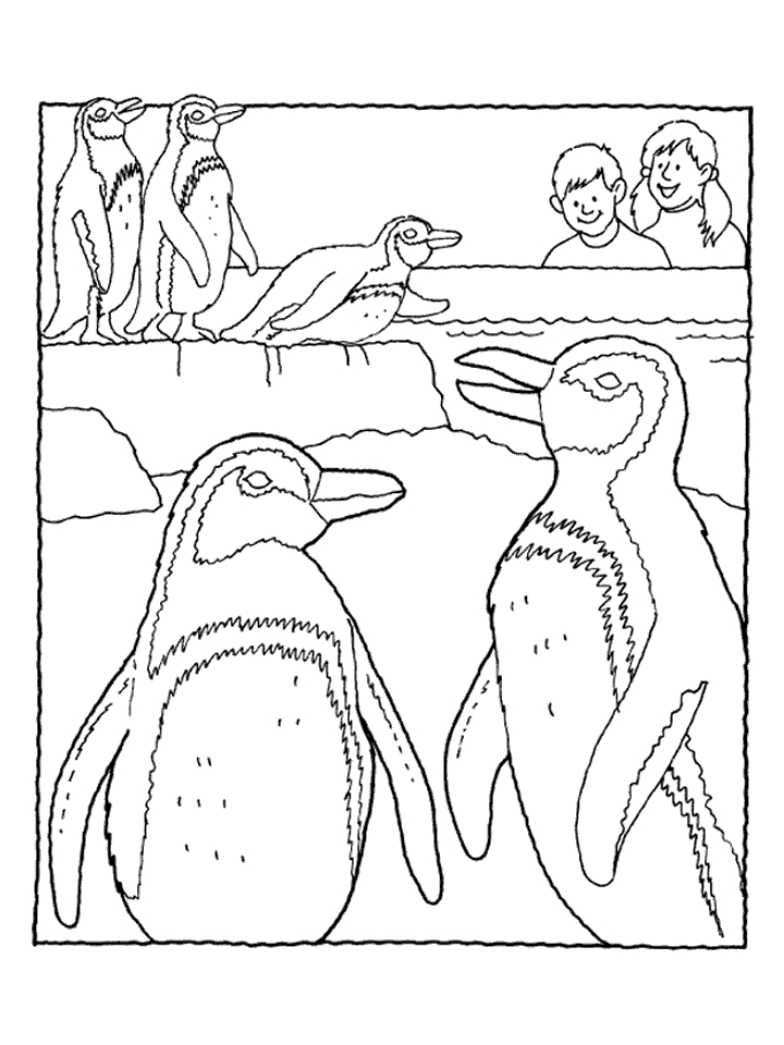 Pinguini allo zoo disegno da colorare