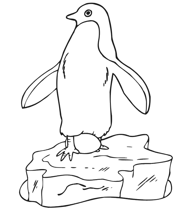 Pinguini immagini per bambini da colorare