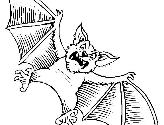 Pipistrello disegno da colorare Halloween