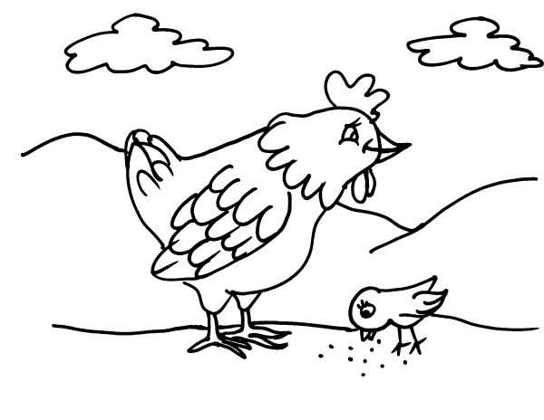 Pulcino e mamma gallina da colorare