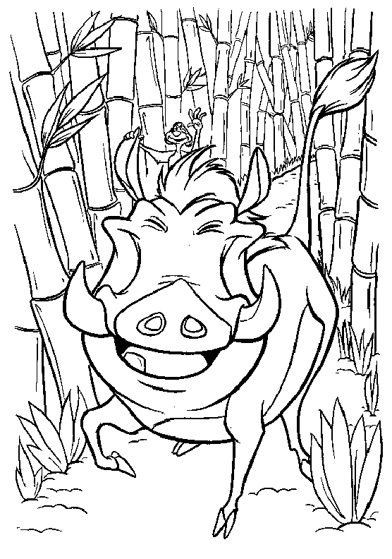 Pumba e Timon disegni da colorare gratis