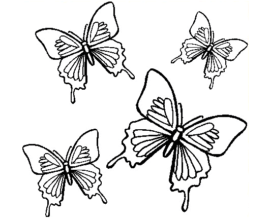 Quattro farfalle da stampare e da colorare