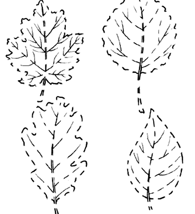 Quattro foglie da colorare e da ritagliare
