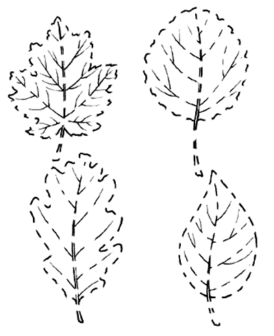 Quattro foglie da colorare e da ritagliare