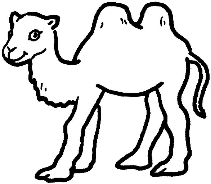 Semplice cammello disegno da colorare per bambini