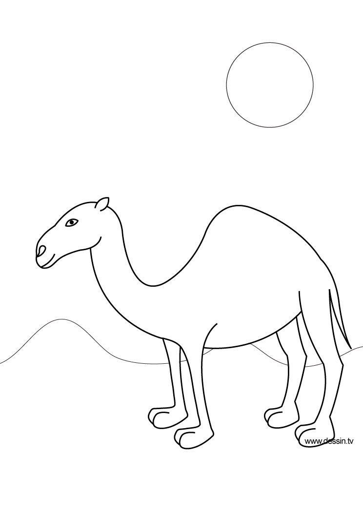 Semplice cammello nel deserto immagine da colorare per bambini