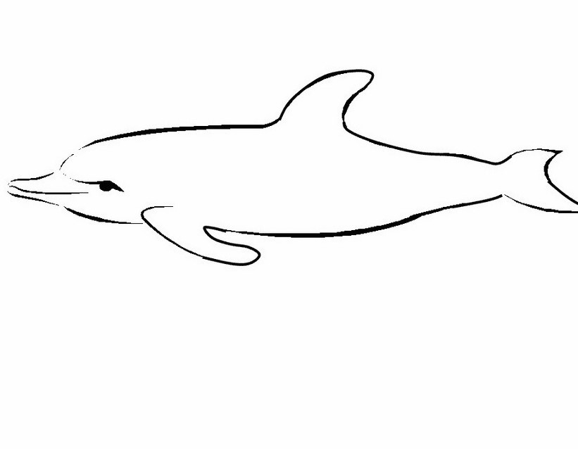 Semplice disegno da colorare categoria animali delfino