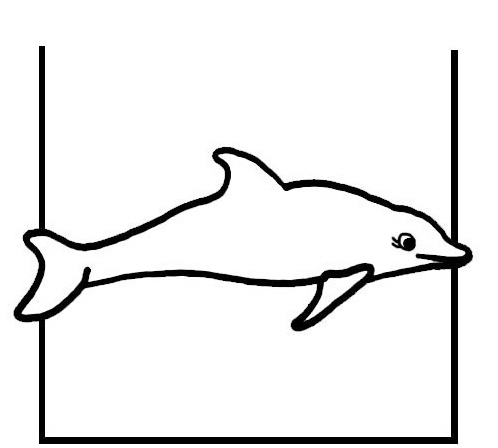 Semplice disegno da colorare di un animale delfino
