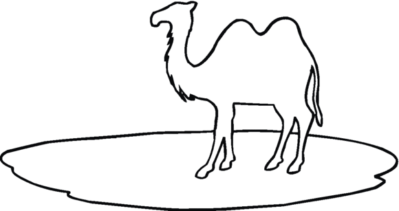 Semplice disegno da colorare il cammello