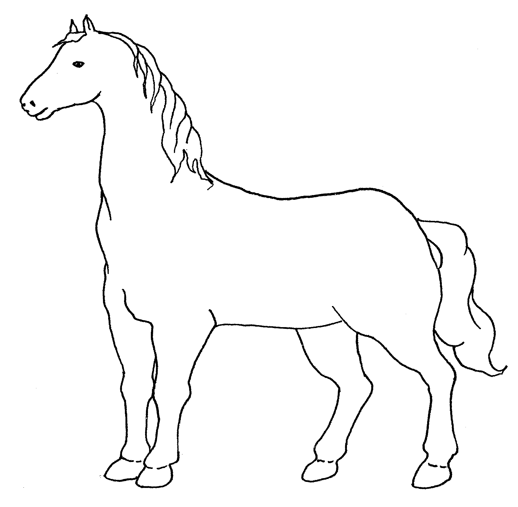 Semplice disegno di un cavallo da colorare