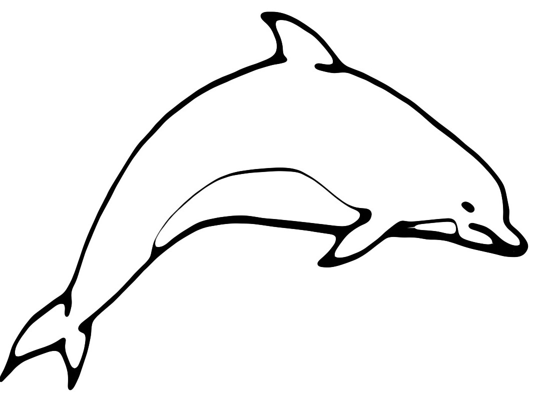 Semplice e facile disegno da colorare delfino