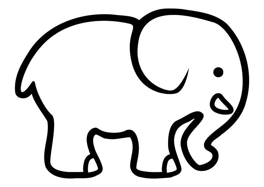 Semplice figura di elefante da colorare per bambini piccoli