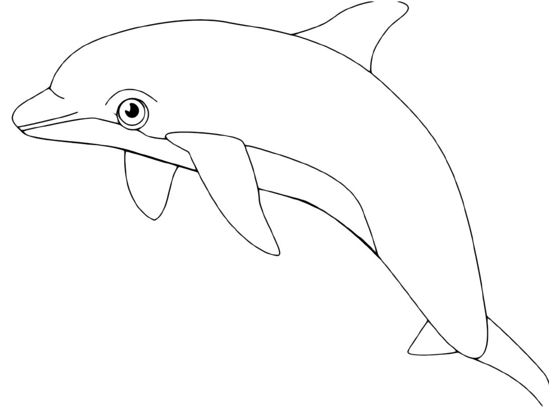 Semplice grande disegno da colorare di un delfino