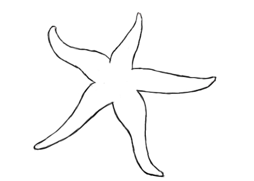 Semplice stella marina per bimbi
