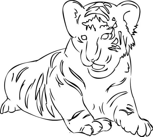 Semplice tigre da colorare