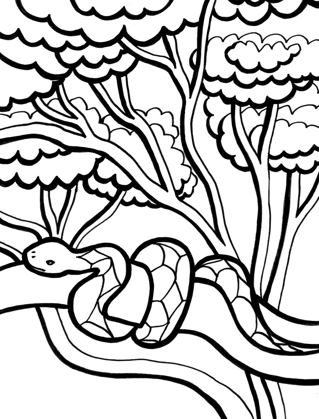 Serpente sull’ albero da stampare per bambini