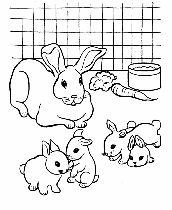 Simpatica famiglia di conigli da colorare per bambini
