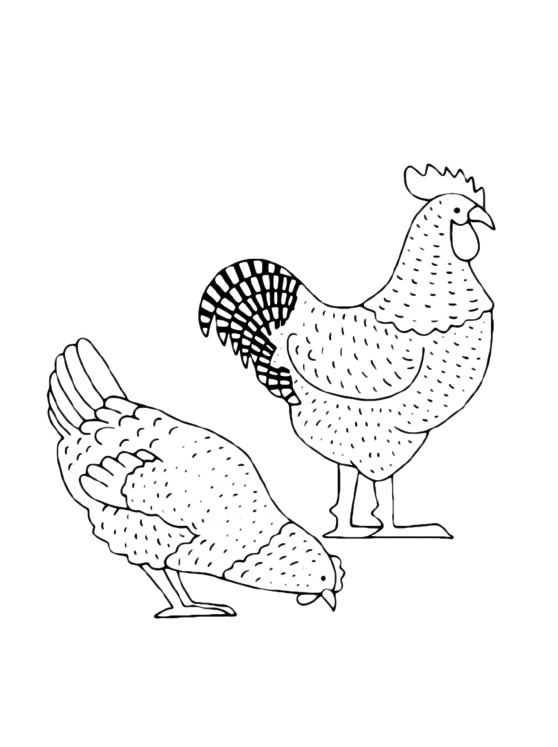 Simpatiche galline da colorare