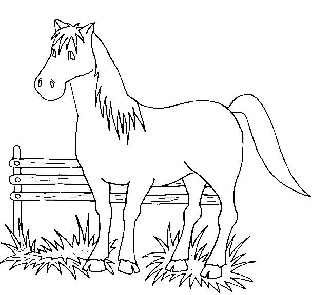 Simpatico disegno da colorare di un cavallo