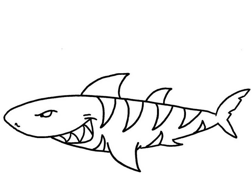 Simpatico squalo con denti aguzzi da colorare
