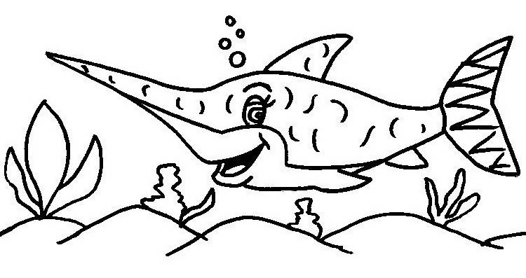 Simpatico squalo esemplare femmina da colorare
