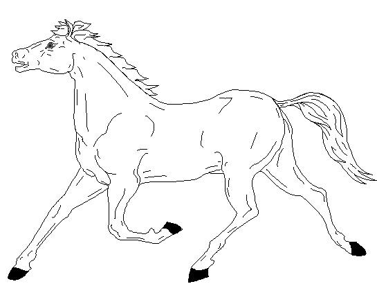 Stampa e colora il cavallo nella categoria animali
