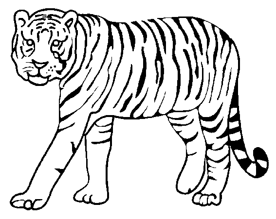 Stampa e colora la tigre